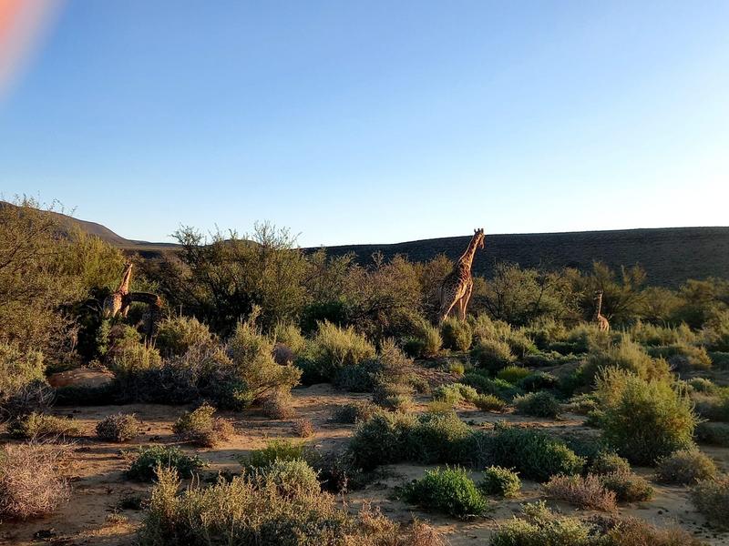 9 Bedroom Property for Sale in Sutherland Northern Cape
